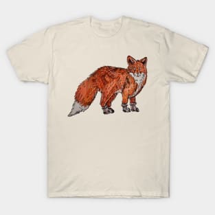 Fox in Socks 2.0 T-Shirt